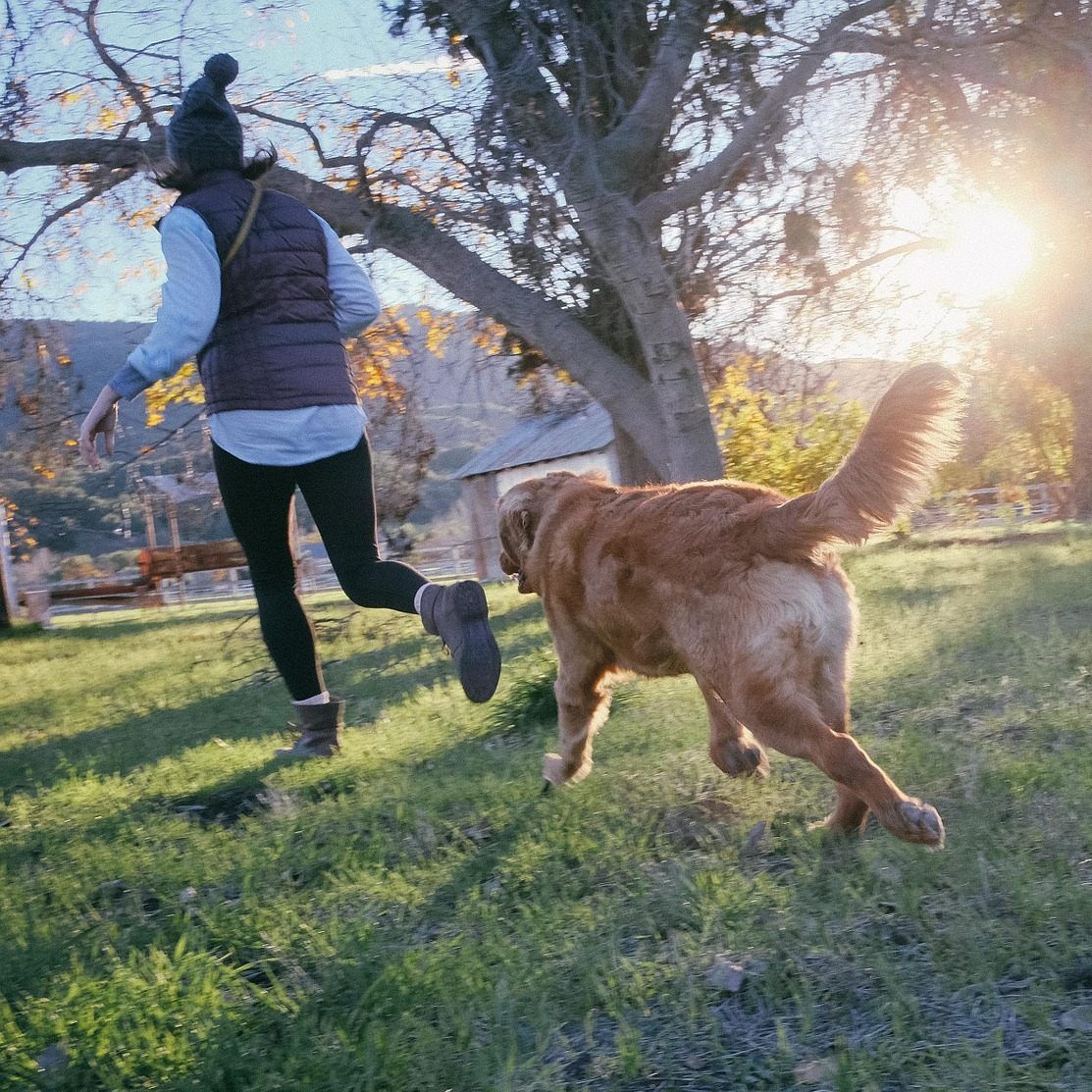 Der richtige Umgang mit dem Hund wird im Kurs vermittelt.
