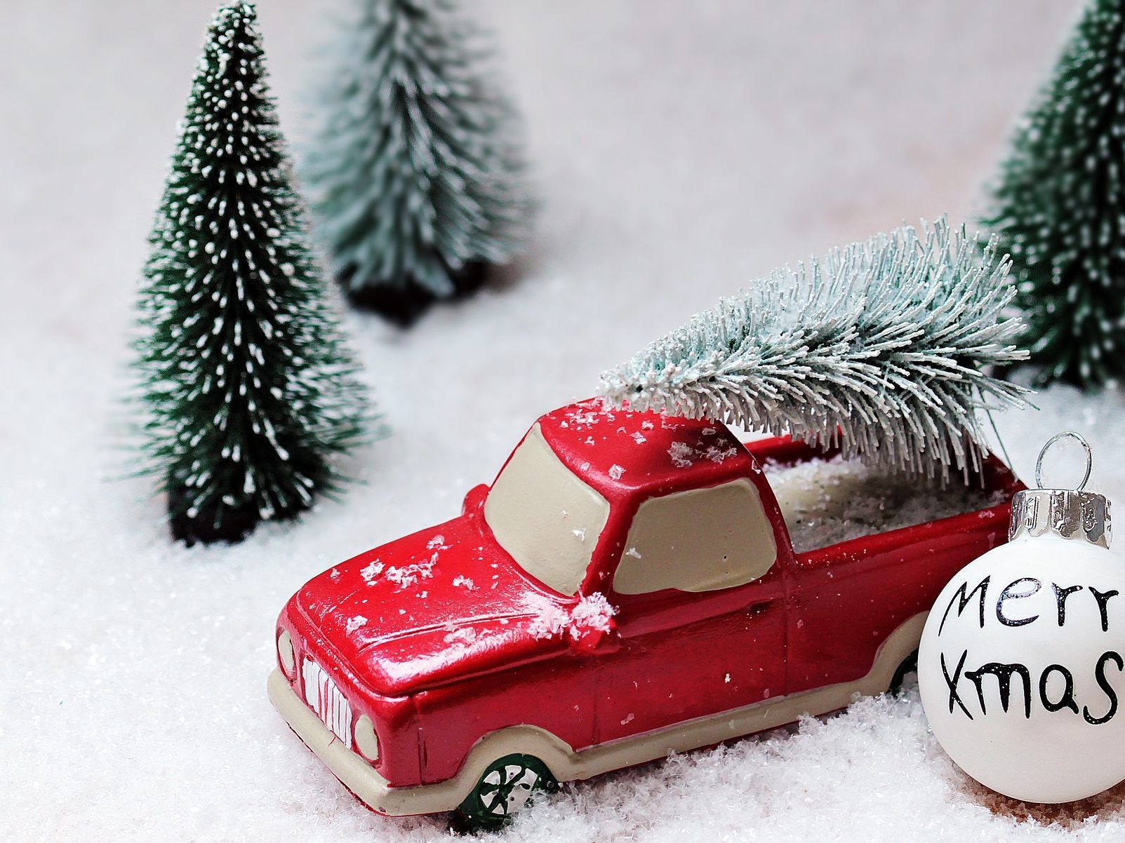 Es gibt einige Regeln beim Transport des Weihnachtsbaumes zu beachten. Es gibt einige Regeln beim Transport des Weihnachtsbaumes zu beachten.