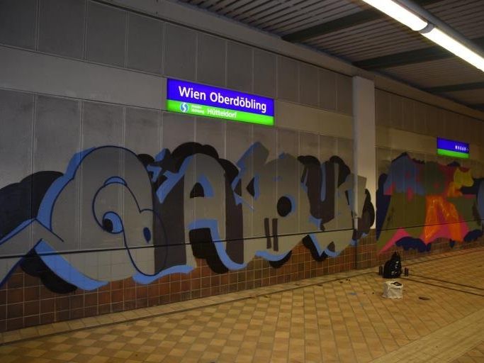 Einer der Sprayer konnte im Bahnhofsbereich Oberdöbling angehalten werden, seine zwei Komplizen konnten fliehen. Einer der Sprayer konnte im Bahnhofsbereich Oberdöbling angehalten werden, seine zwei Komplizen konnten fliehen.