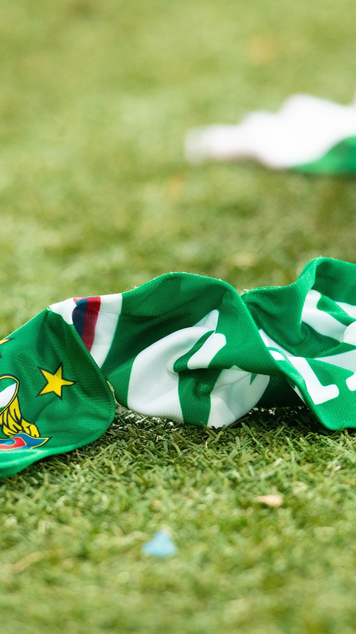 Rapid Wien prüft nun den Rasen-Unterbau.