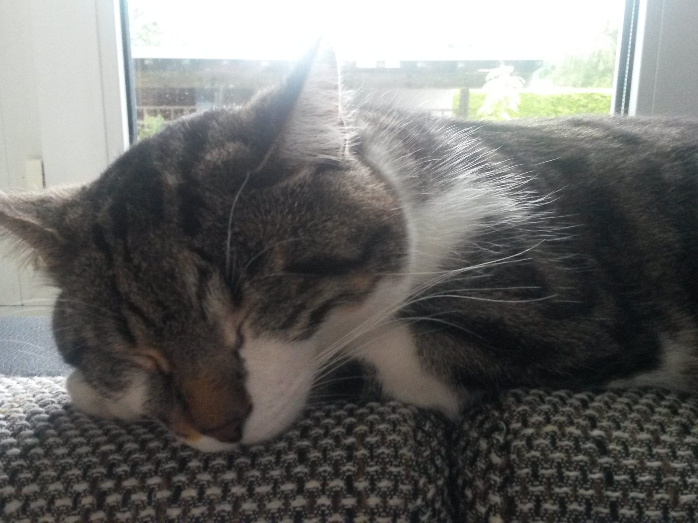 Berlioz