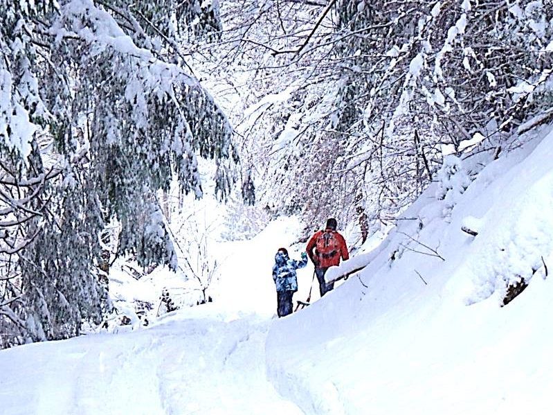 Auf der Schneeschuhwanderung wird einiges geboten