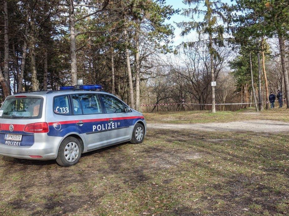 Die junge Frau wurde in einem Park in Wiener Neustadt gefunden. Die junge Frau wurde in einem Park in Wiener Neustadt gefunden.