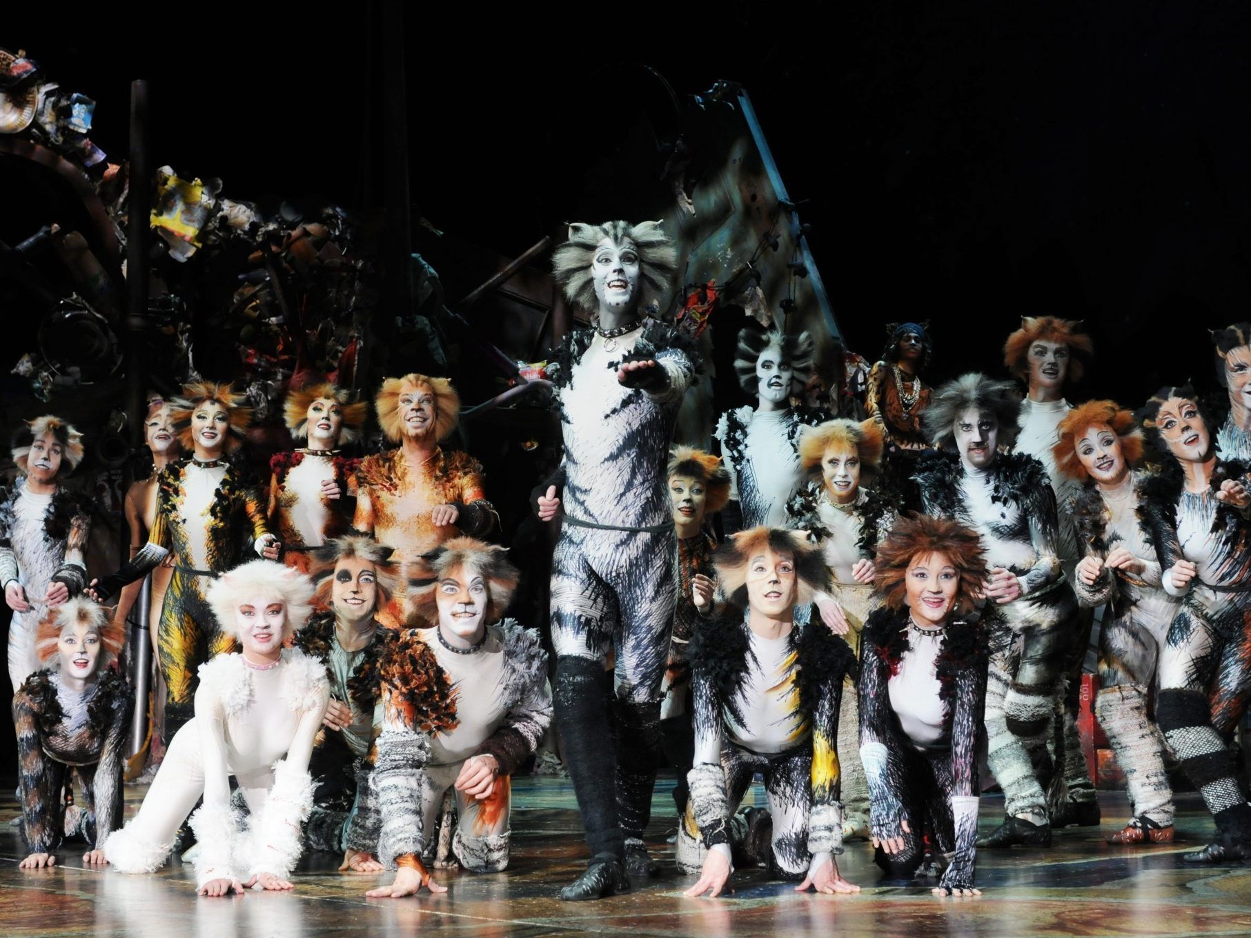 Die Musical-Legende CATS kehrt ins Ronacher zurück. Die Musical-Legende CATS kehrt ins Ronacher zurück.