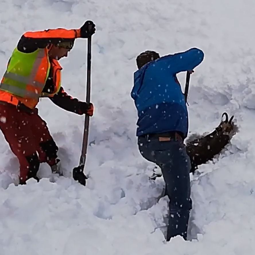 Gams aus Schneemassen gerettet - Tolle rettungsaktion zweier ÖBB-Mitarbeiter in der Steiermark.