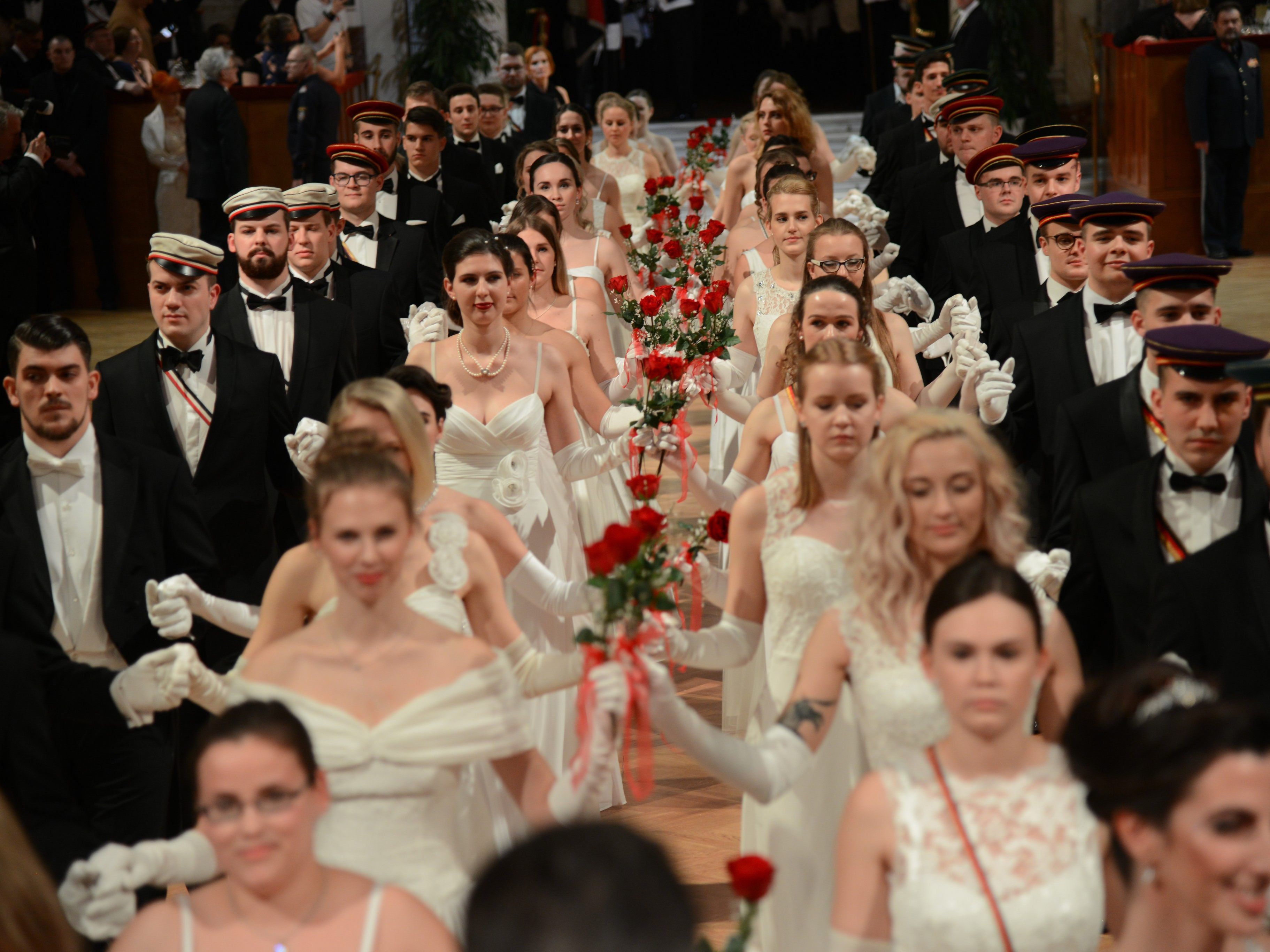 Für den Akademikerball 2019 wird ein Besucher-Rekord erwartet. Für den Akademikerball 2019 wird ein Besucher-Rekord erwartet.