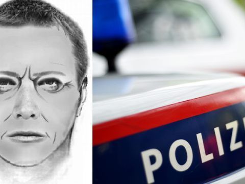Die Wiener Polizei fahndet derzeit nach diesem Mann.