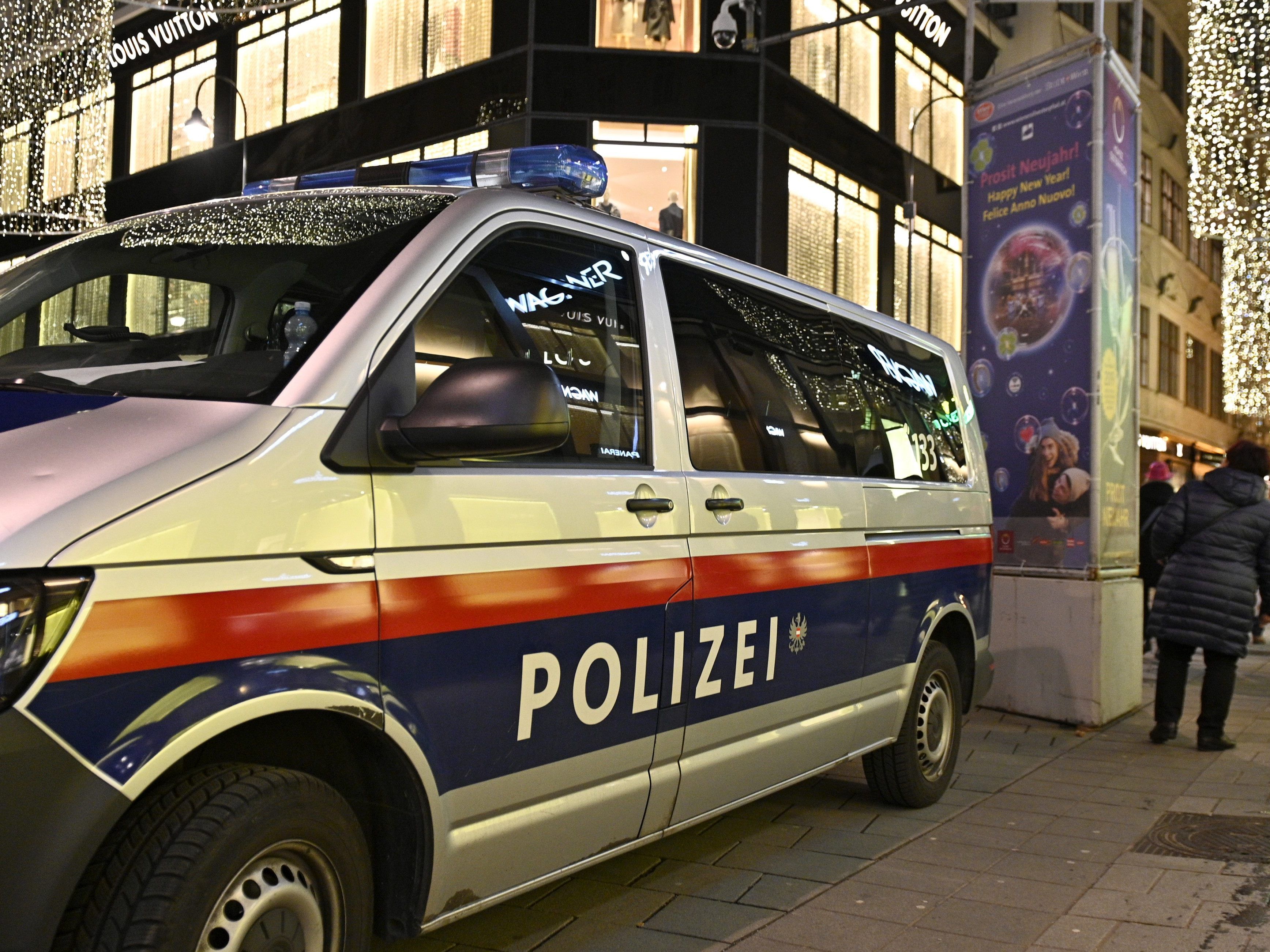 Die Wiener Polizei zog nach der Silvesternacht Bilanz.