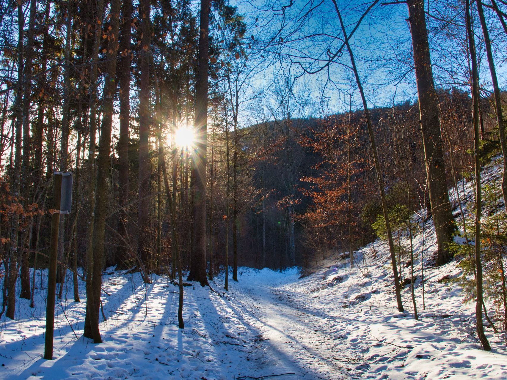 Im Laufe der Woche wird sich vermehrt die Sonne in Österreich zeigen.