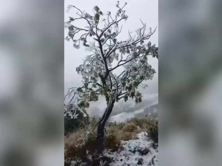 Selten: Schnee auf Hawaii.