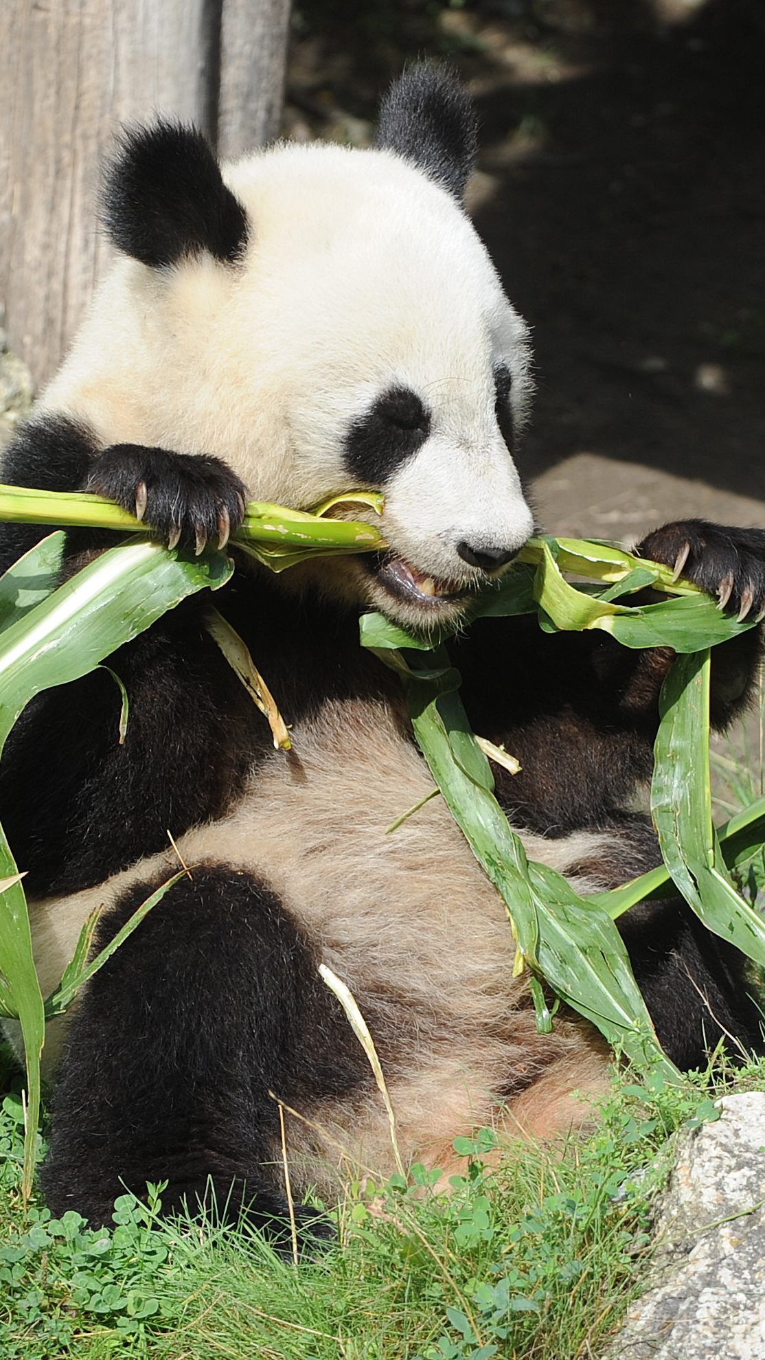 In zwei Kategorien wurde der Tiergarten Schönbrunn mit Gold ausgezeichnet.