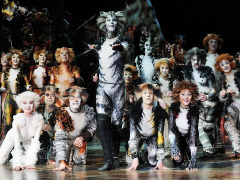 Bereits 10.000 Tickets für das Musical CATS in Wien verkauft.