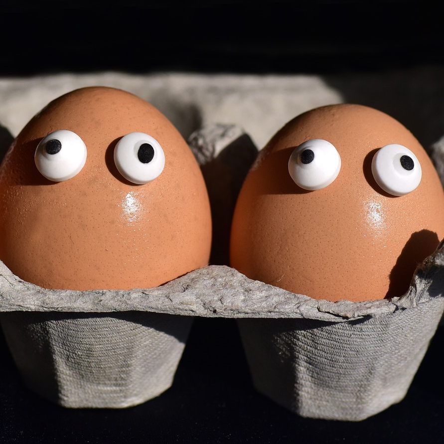 Das World Record Egg gab sein Geheimnis preis.