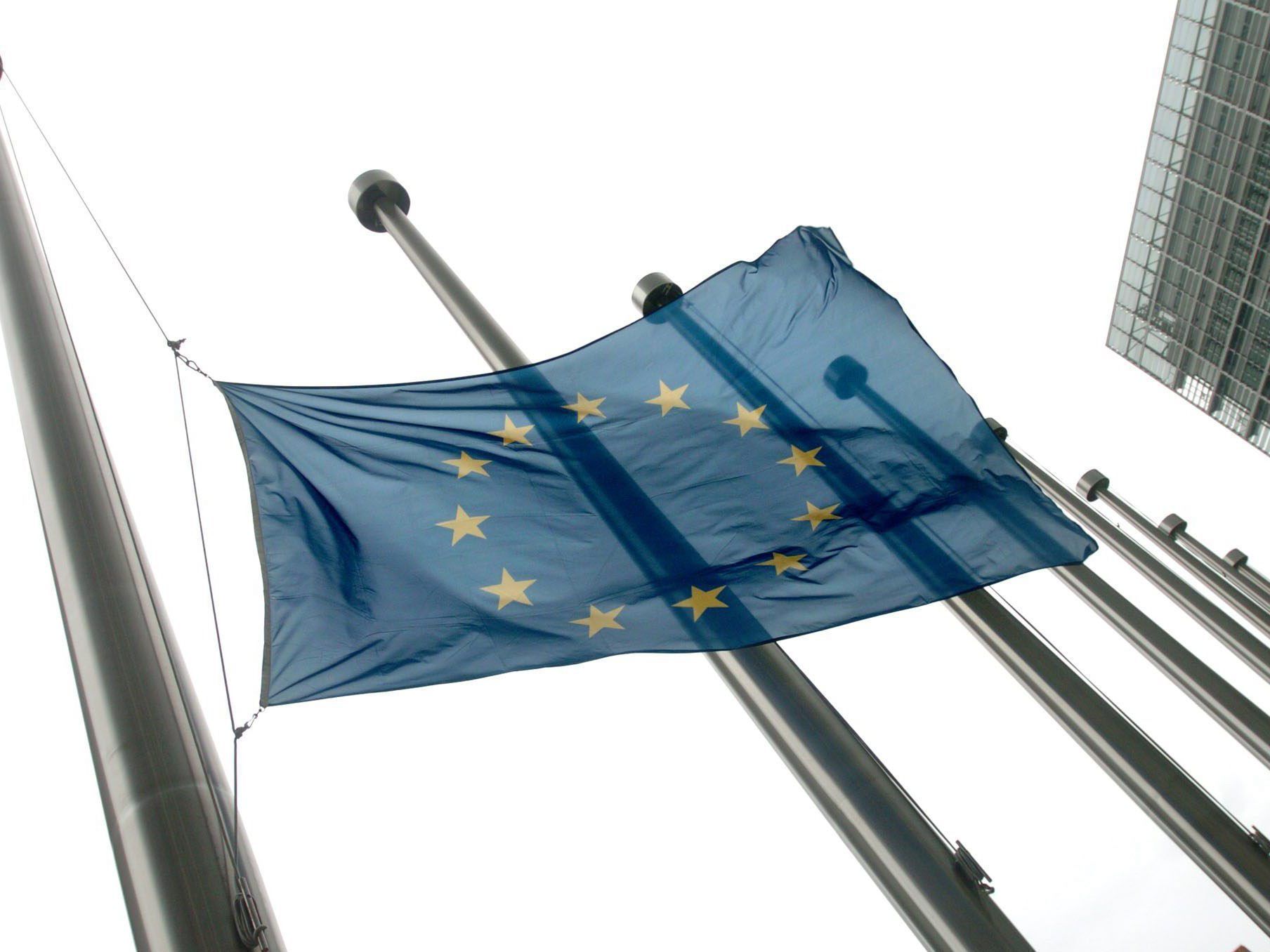 Auch die Kleinparteien in Österreich wollen bei der EU-Wahl antreten. Auch die Kleinparteien in Österreich wollen bei der EU-Wahl antreten.