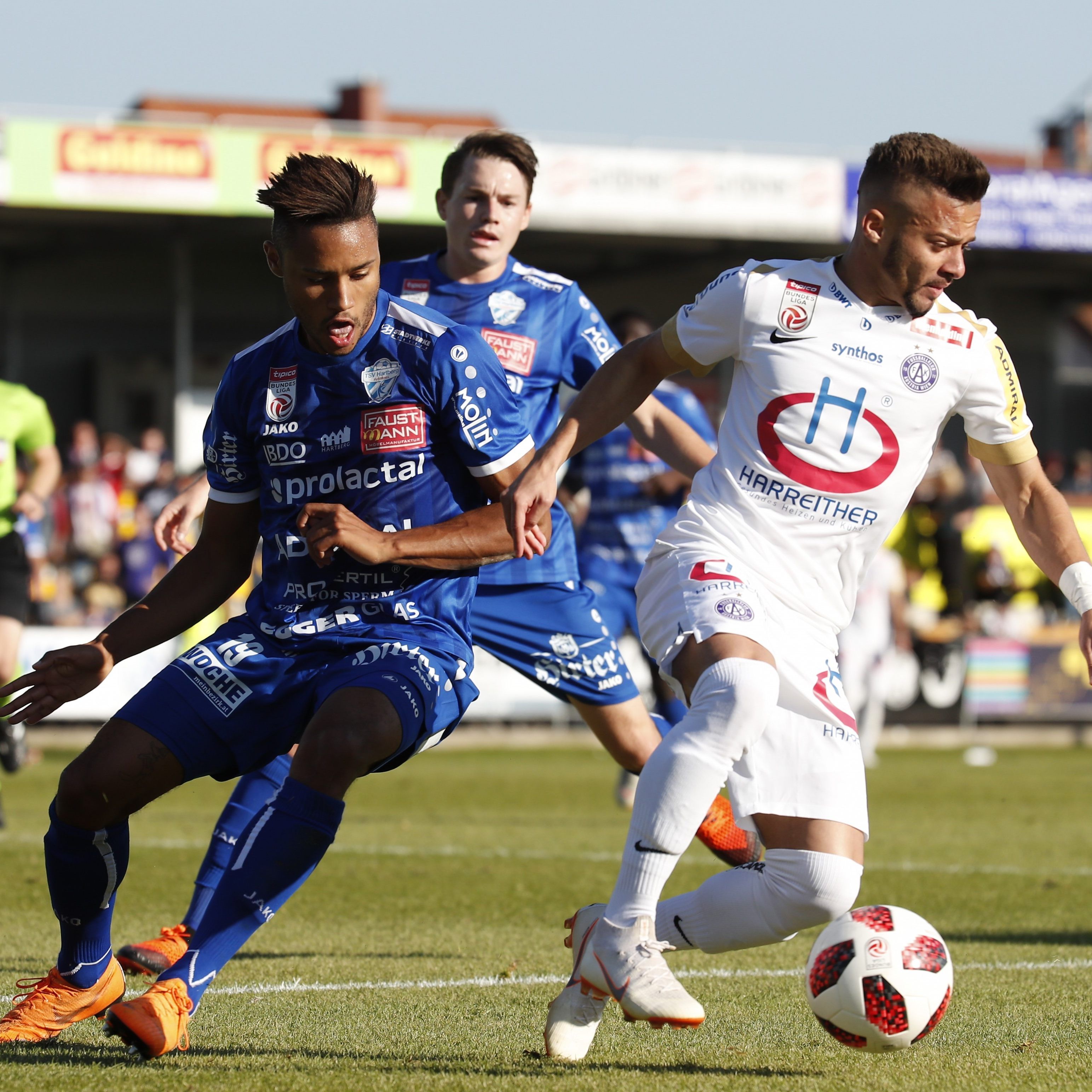 LIVE-Ticker zum Spiel Austria Wien gegen Hartberg ab 14.30 Uhr.