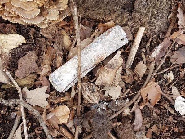 Die Spaziergängerin entdeckte in Wien-Hernals drei Weltkriegsbomben.