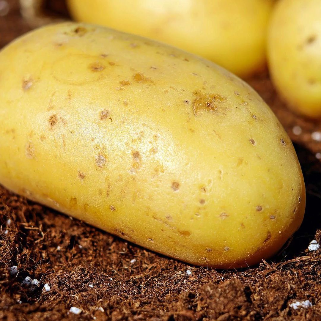 Dieser Werbespot hat einen Shitstorm losgetreten.