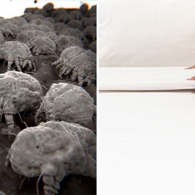 Beim Bettenmachen sollte einiges beachtet werden, um das Ausbreiten von Milben zu verhindern.