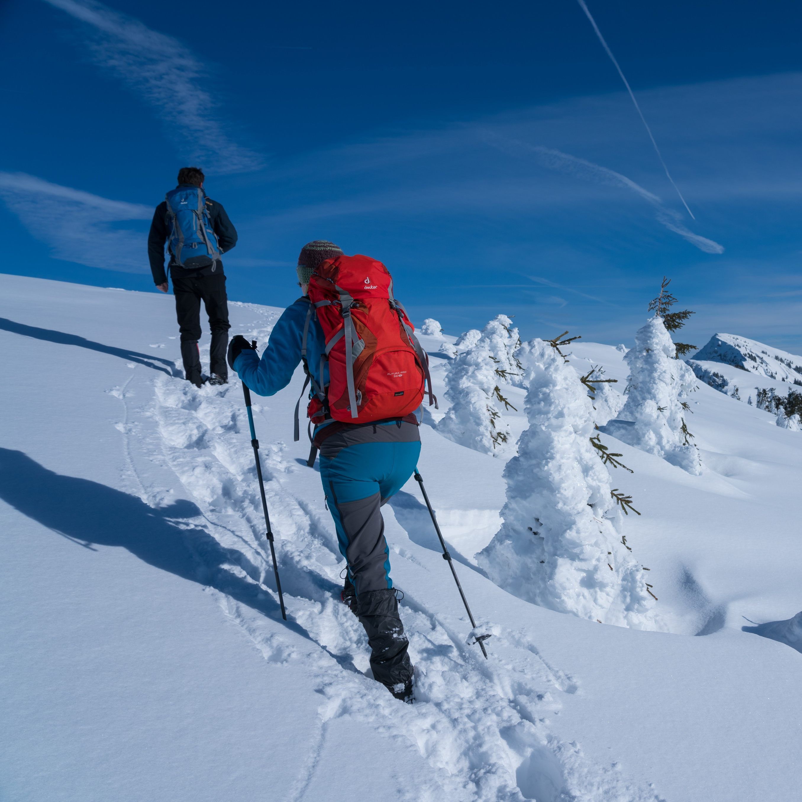 Die starken Schneefälle im Jänner sorgten zwar für traumhafte Verhältnisse, schreckten jedoch auch viele Kurzentschlossene Besucher ab.