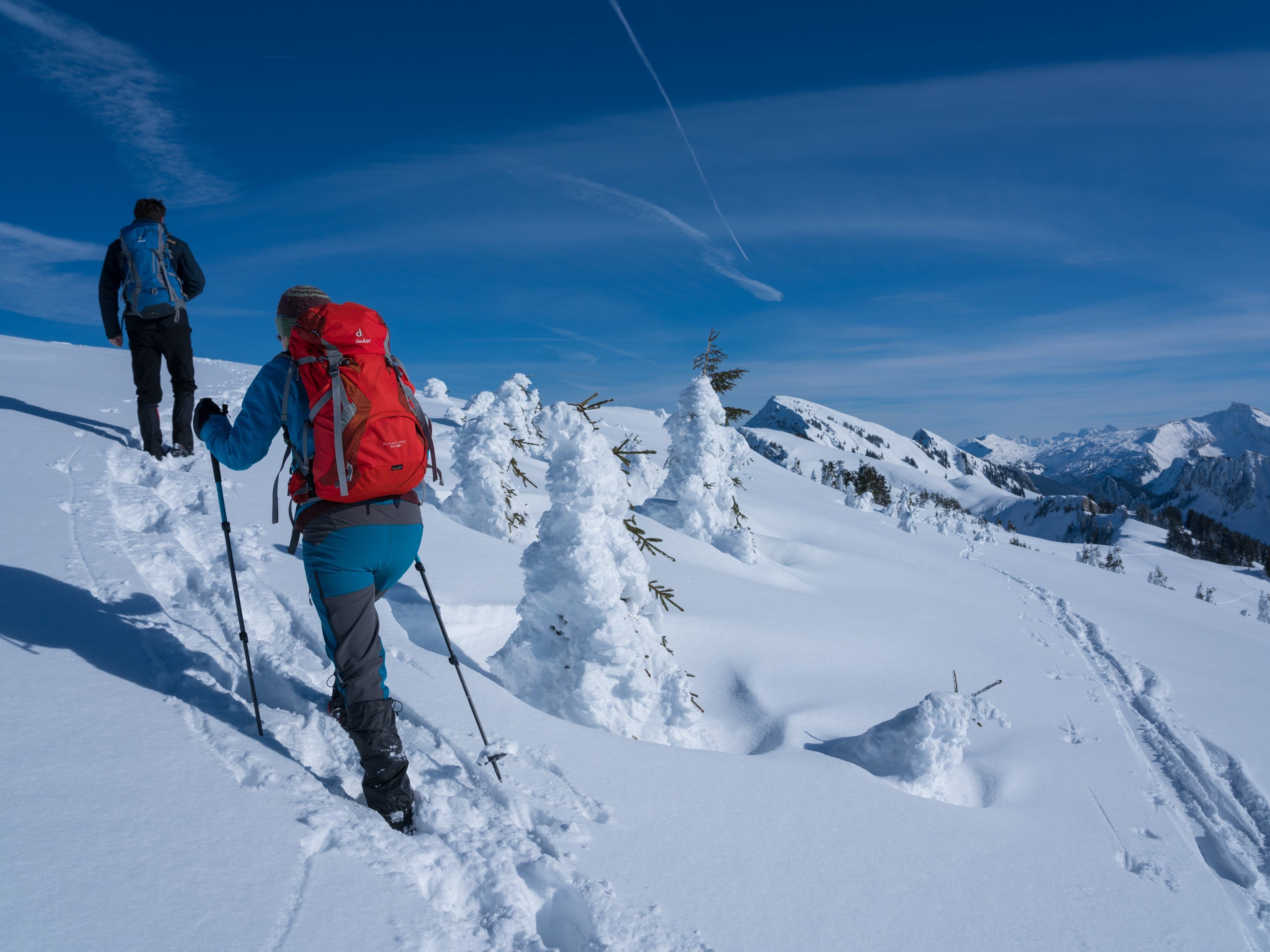 Die starken Schneefälle im Jänner sorgten zwar für traumhafte Verhältnisse, schreckten jedoch auch viele Kurzentschlossene Besucher ab. Die starken Schneefälle im Jänner sorgten zwar für traumhafte Verhältnisse, schreckten jedoch auch viele Kurzentschlossene Besucher ab.