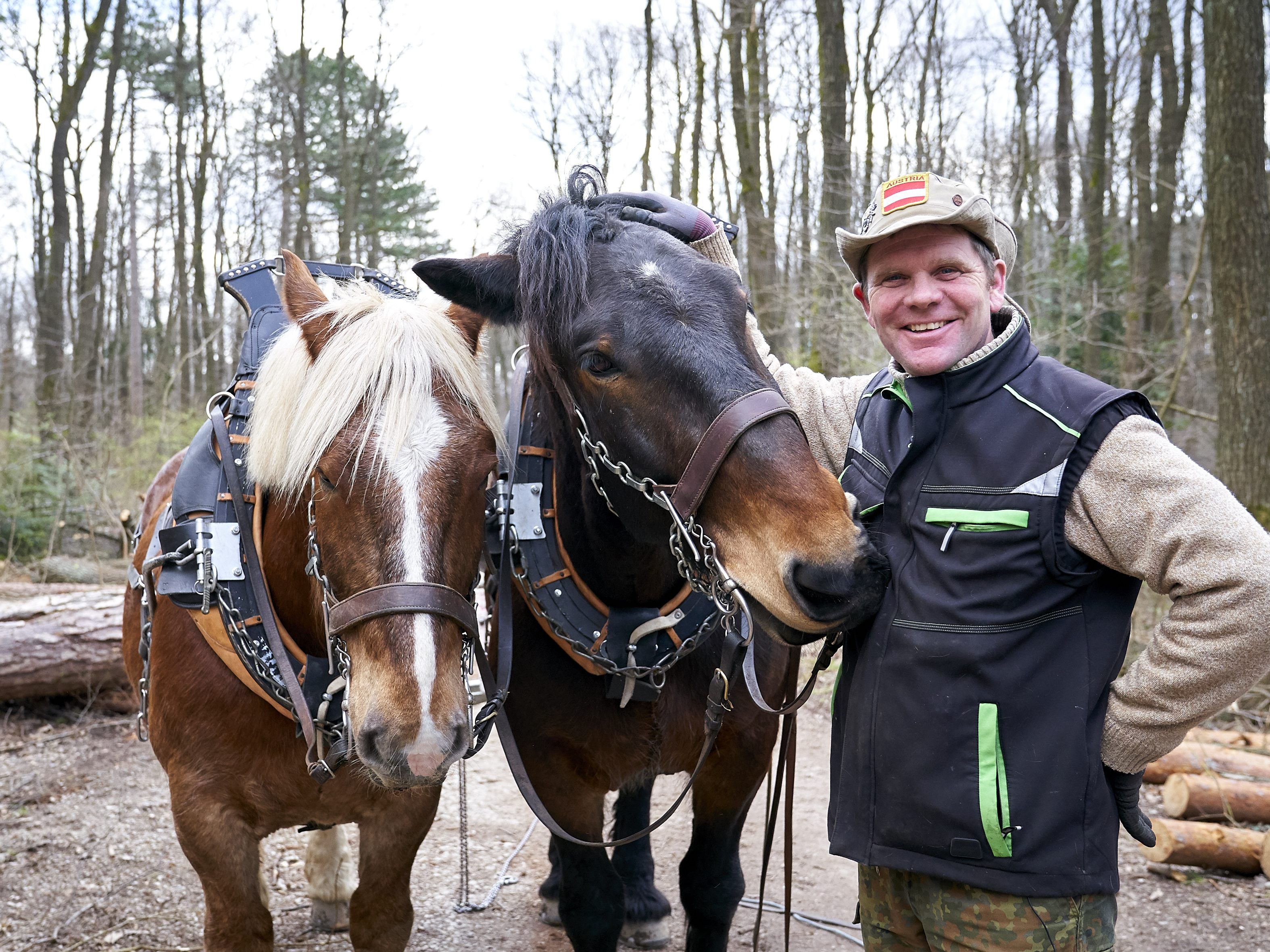 Hannes macht mit Nero und Max den Maurer Wald fit.