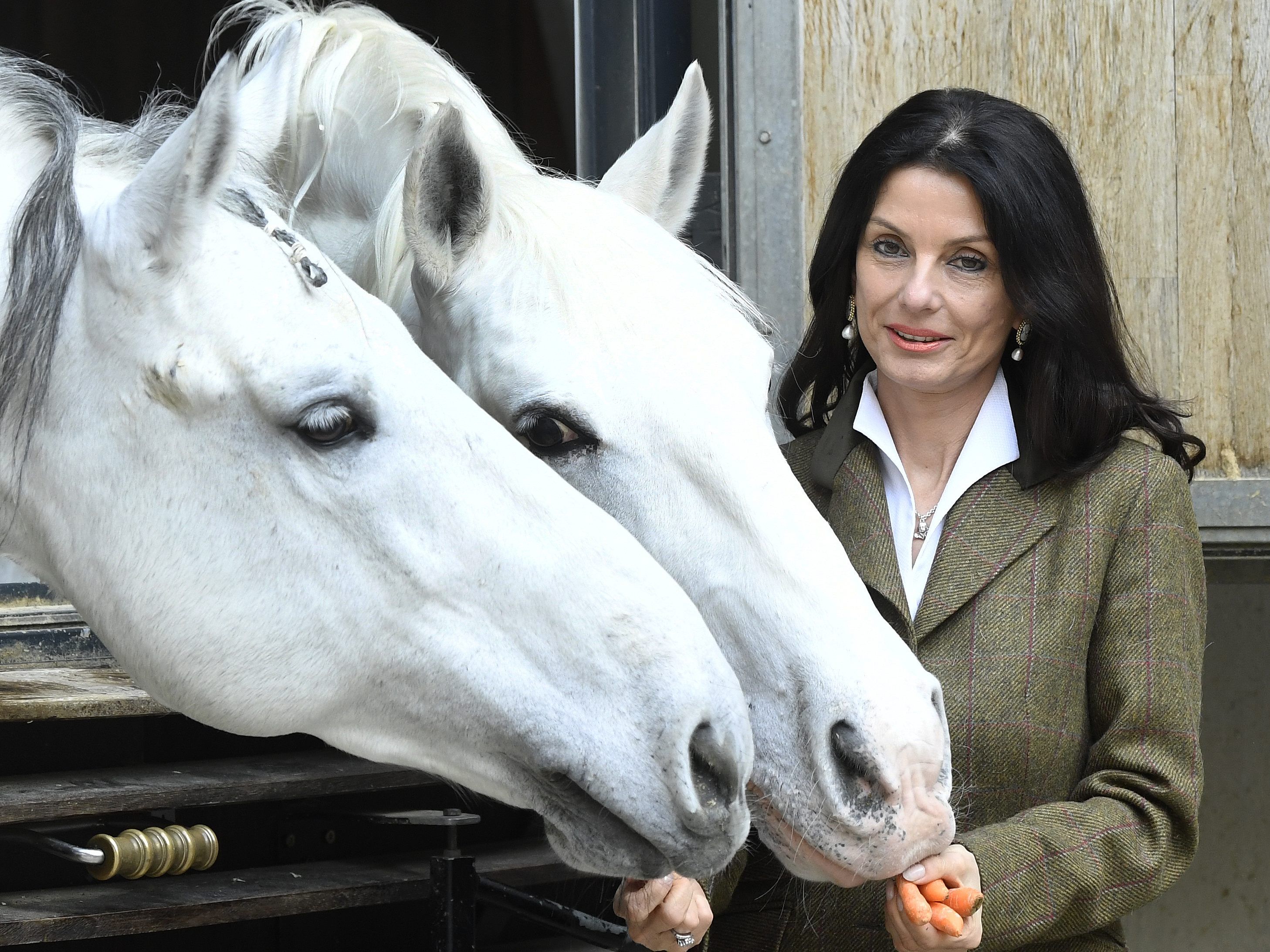 Klima will die Institution "für eine breite Masse" öffnen.