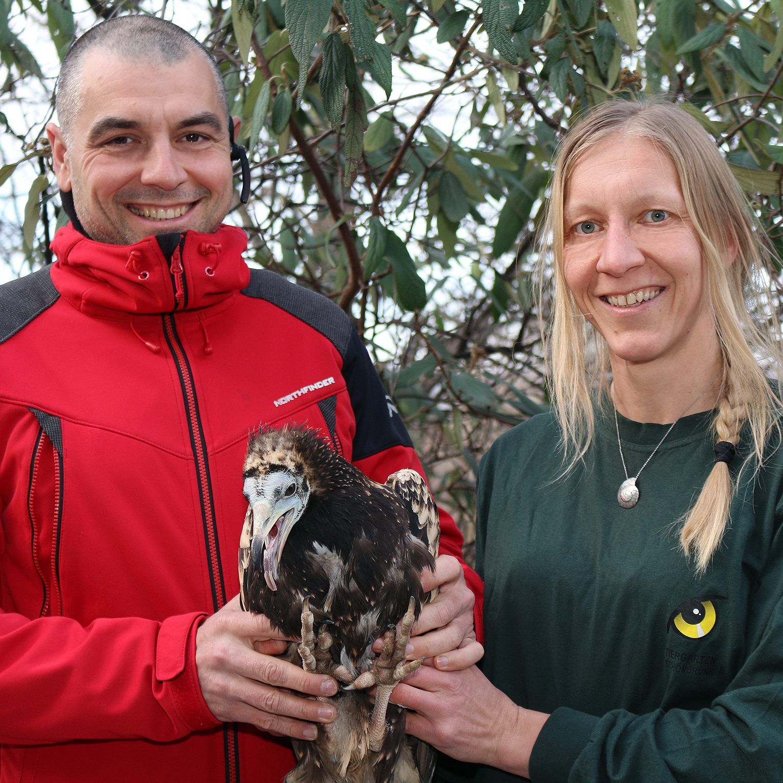 Die Tierpflegerin Regina Riegler übergibt "Andi" an Green Balkans.