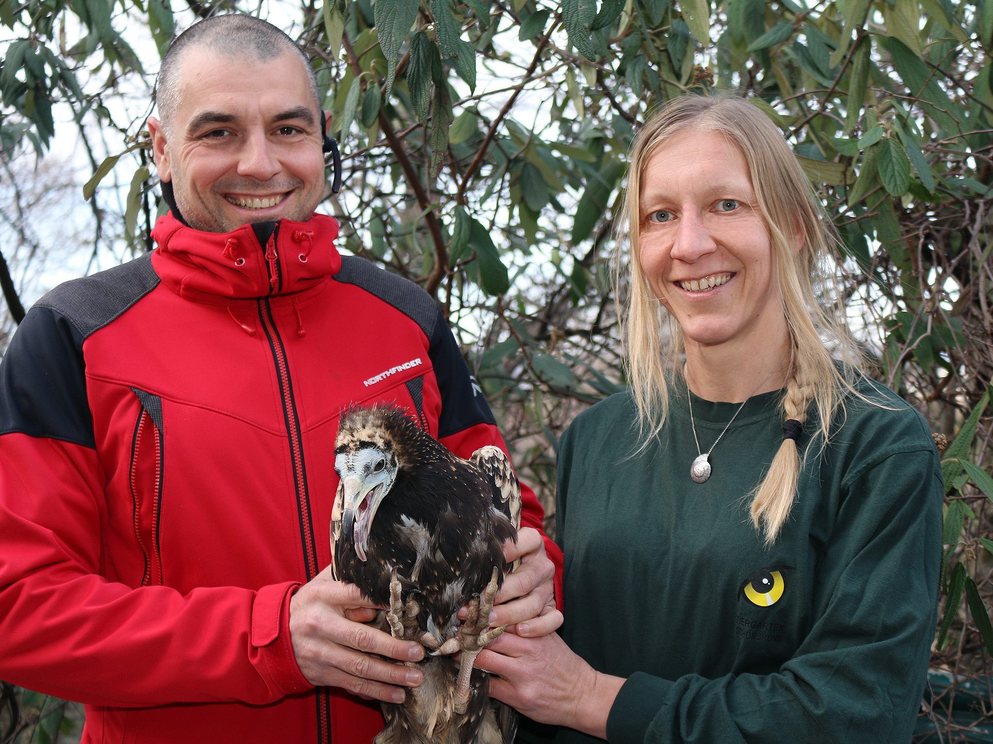 Die Tierpflegerin Regina Riegler übergibt "Andi" an Green Balkans. Die Tierpflegerin Regina Riegler übergibt "Andi" an Green Balkans.