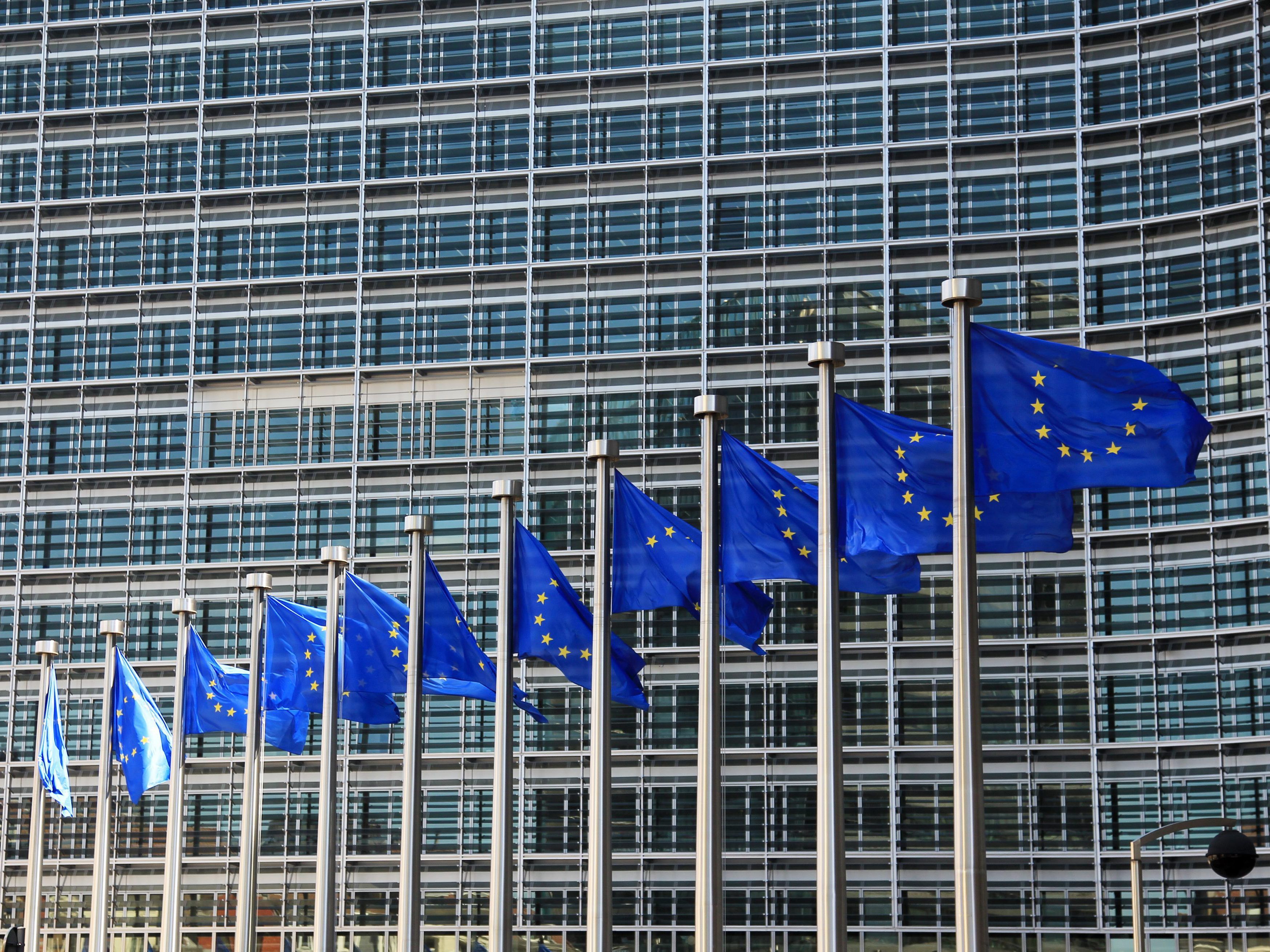 Drei Österreicher mehr könnten ab Mai im EU-Parlament sitzen. Drei Österreicher mehr könnten ab Mai im EU-Parlament sitzen.