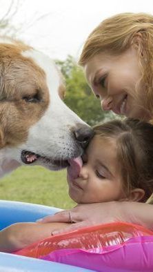 Der erste Trailer zu "Bailey - Ein Hund kehrt zurück" lässt die Herzen von Hundeliebhabern höher schlagen.