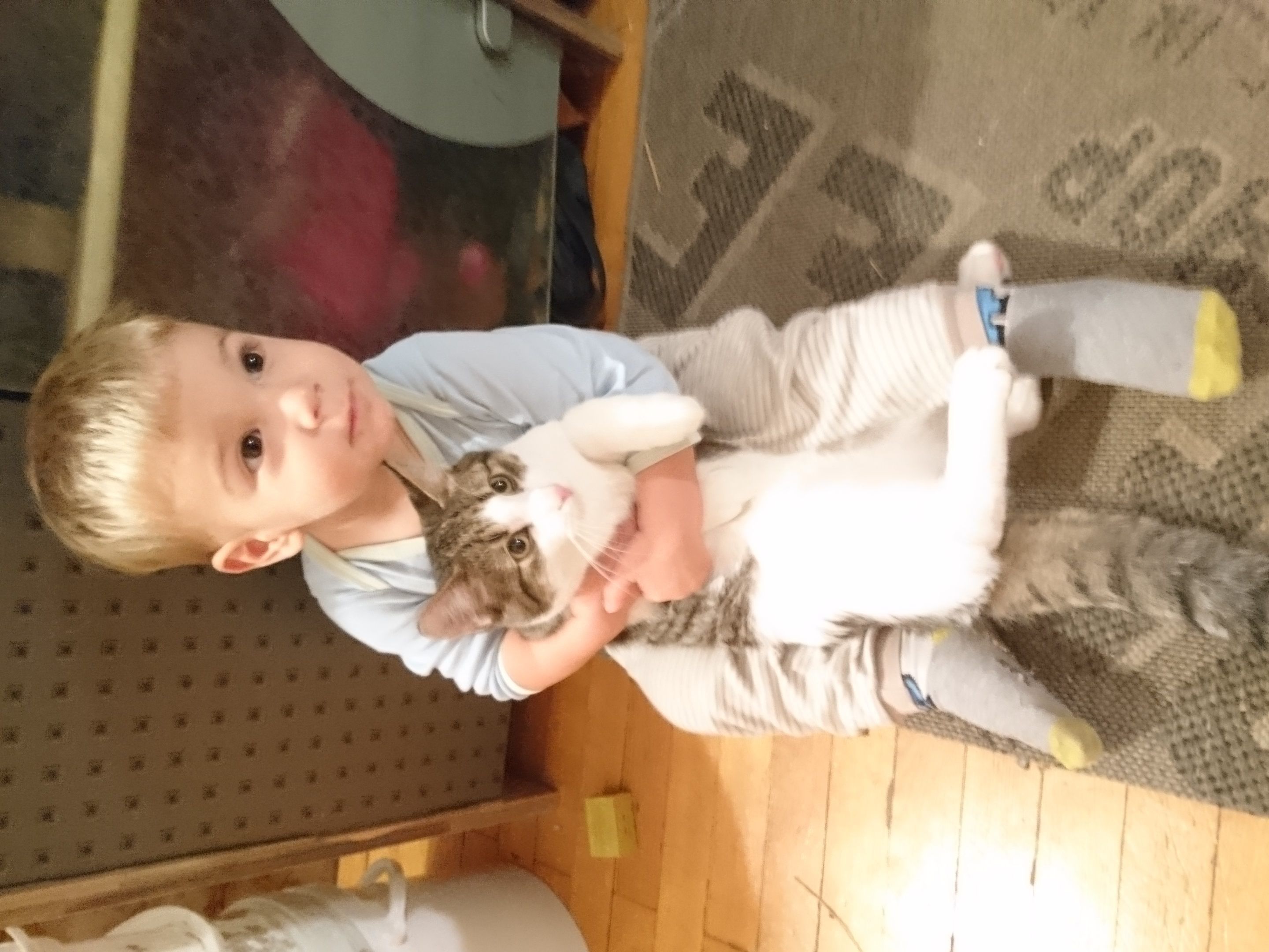 Tiggi