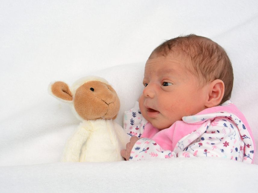 Das Team von rankweil.vol.at gratuliert herzlich.