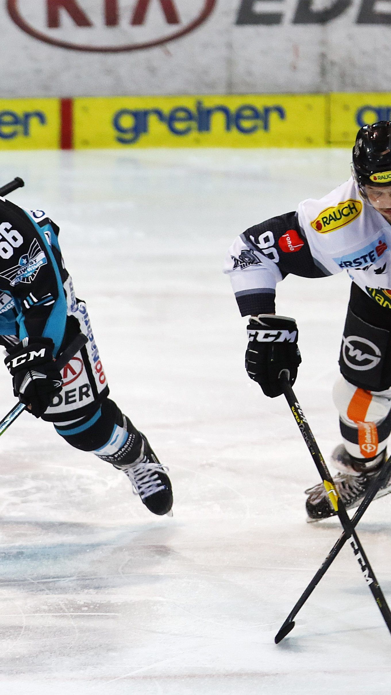 Dornbirn und Linz lieferten sich einen harten Kampf bis zum Schluss.