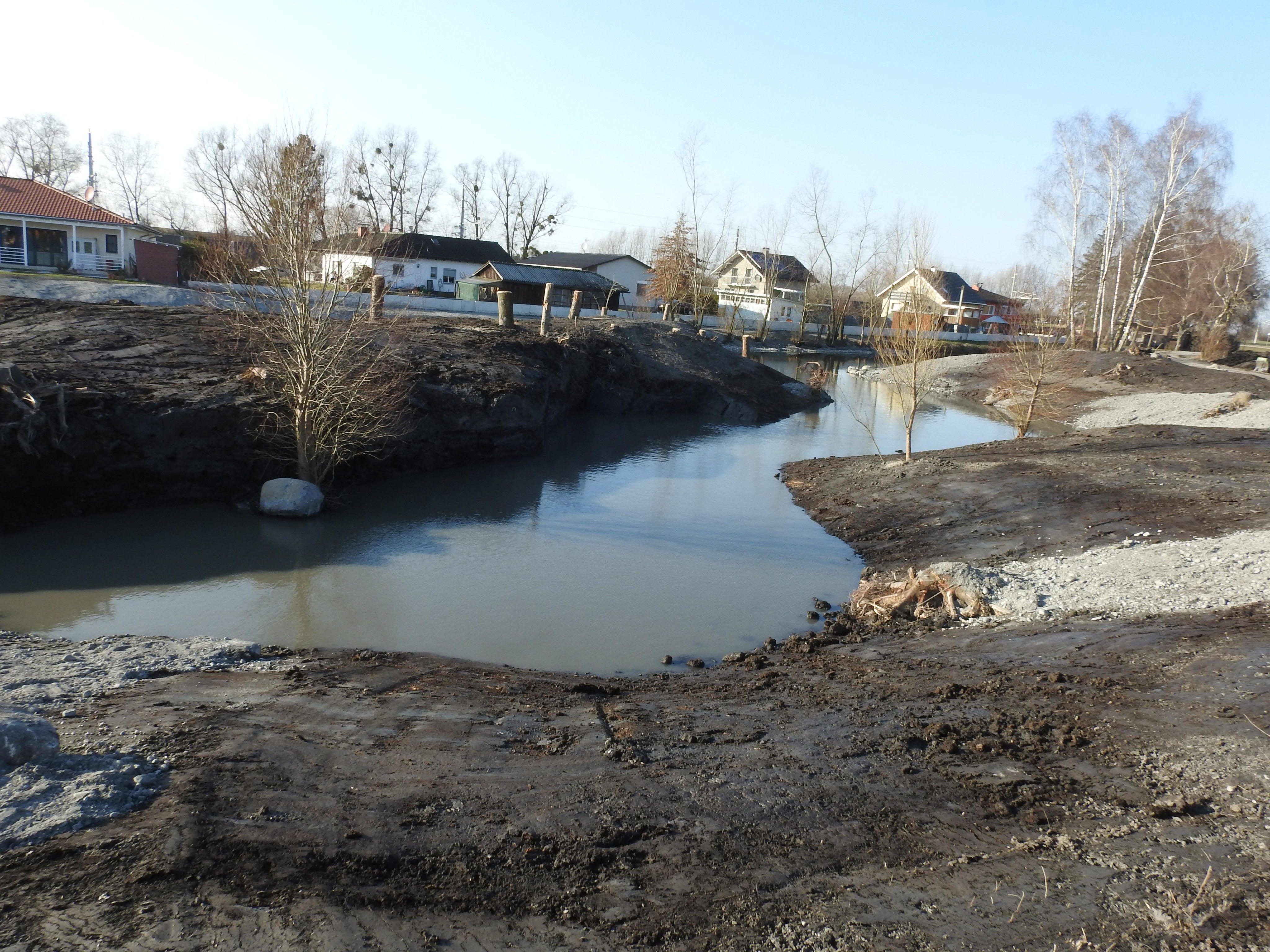 Das frisch geflutete „Hinterwasser“ bietet einen hervorragenden neuen Wasserlebensraum. Das frisch geflutete „Hinterwasser“ bietet einen hervorragenden neuen Wasserlebensraum.