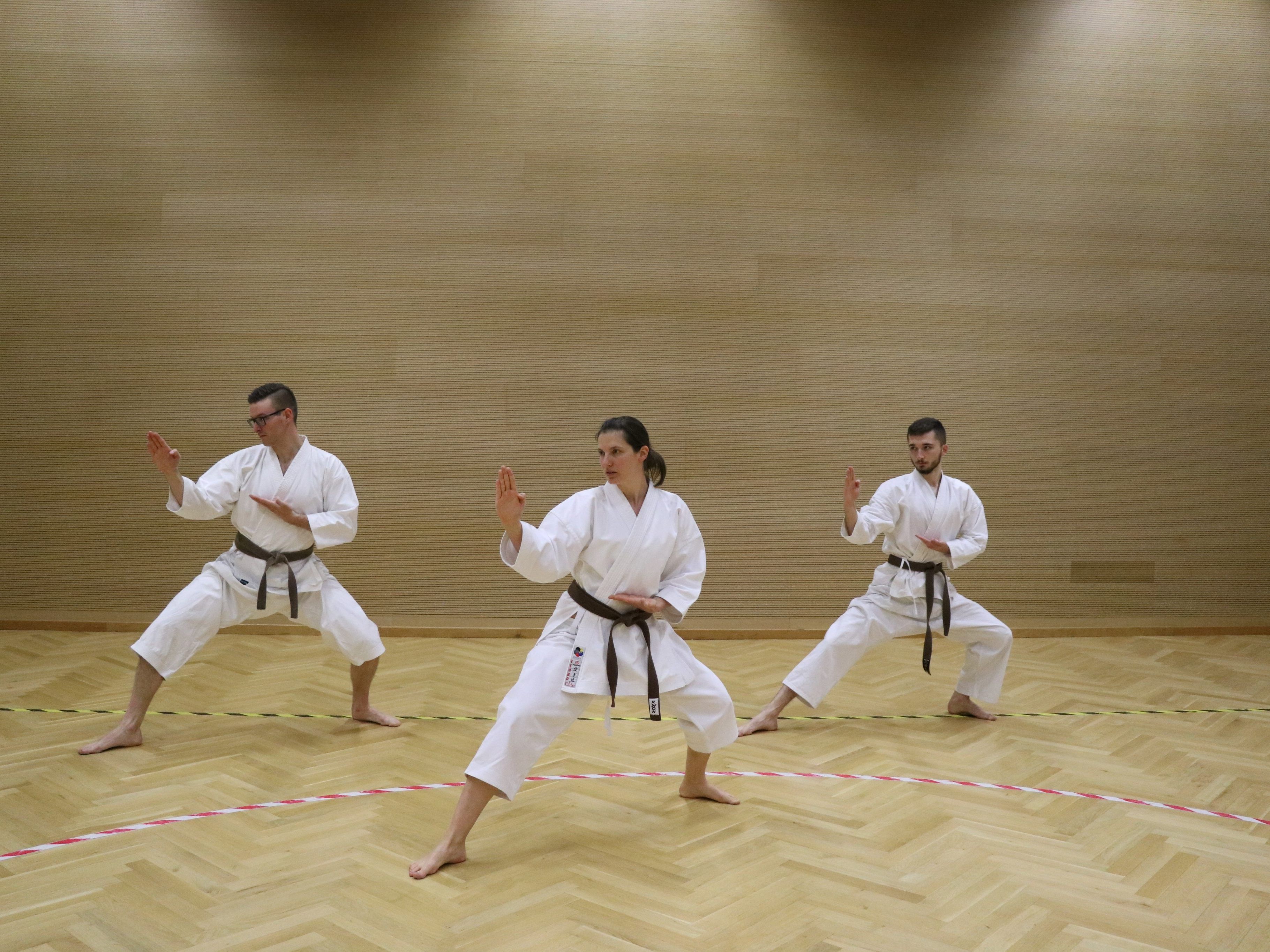 Karatekas werden im Stil des Shotokan Karate unterrichtet