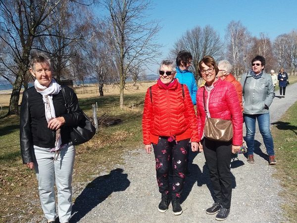 Halbtagesausflug des PVÖ Mäder: Frühlingserwachen am Bodensee