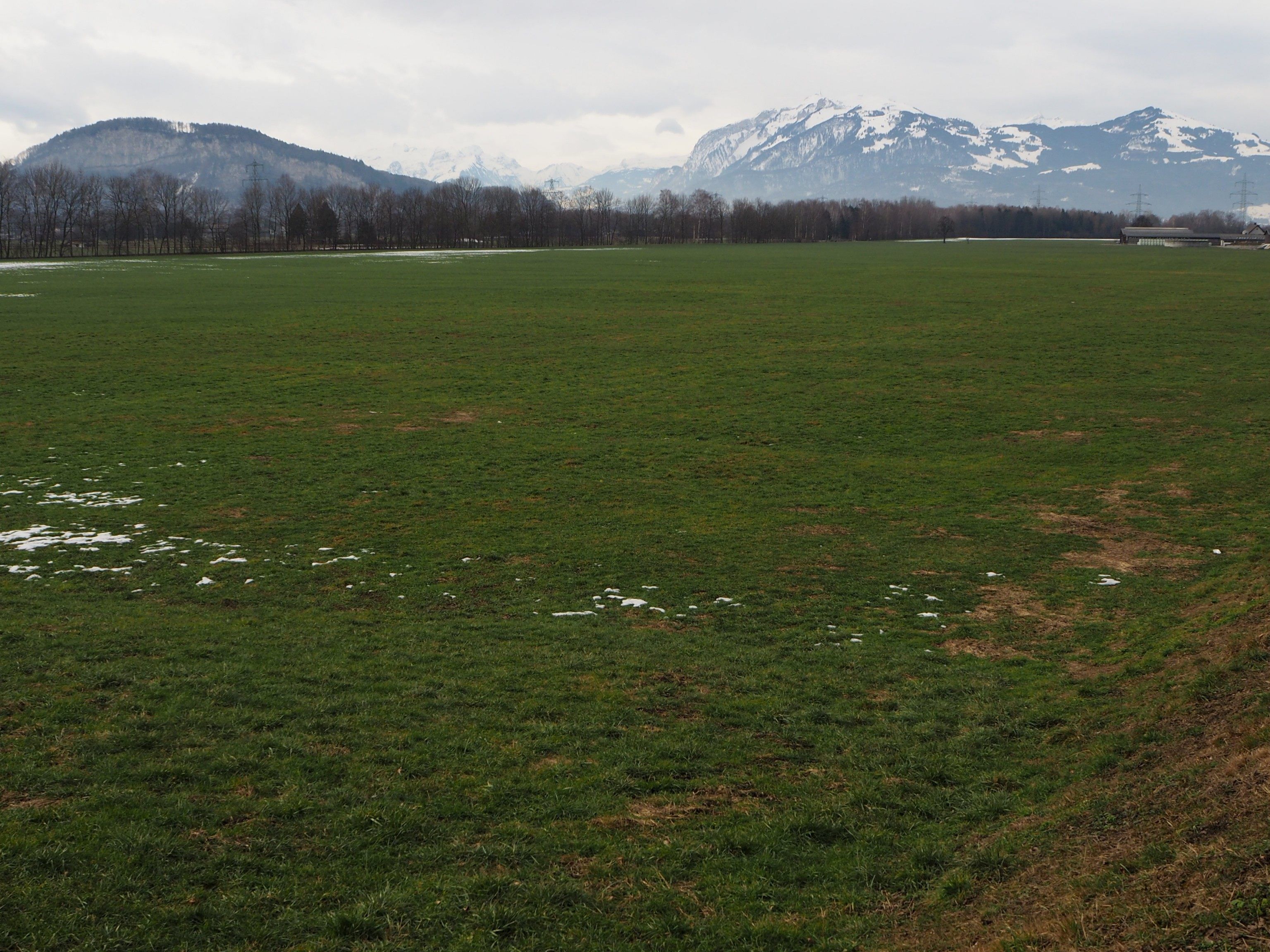 Zwischen dem Sauwinkel und dem Götzner Hof sollen innerhalb von 25 Jahren knapp drei Millionen Tonnen Kies abgebaut werden.