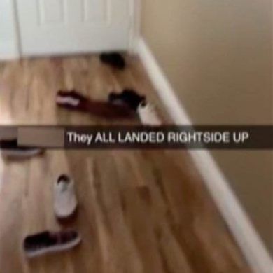 Dener Echeverria's Video, in dem er die Vans-Theorie testet, ging viral.