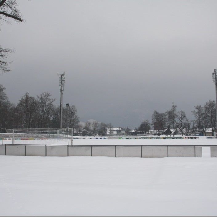 SYMBOLBILD BIRKENWIESE