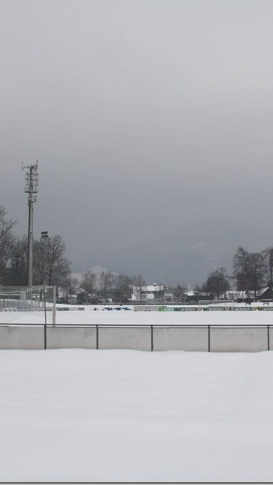 SYMBOLBILD BIRKENWIESE