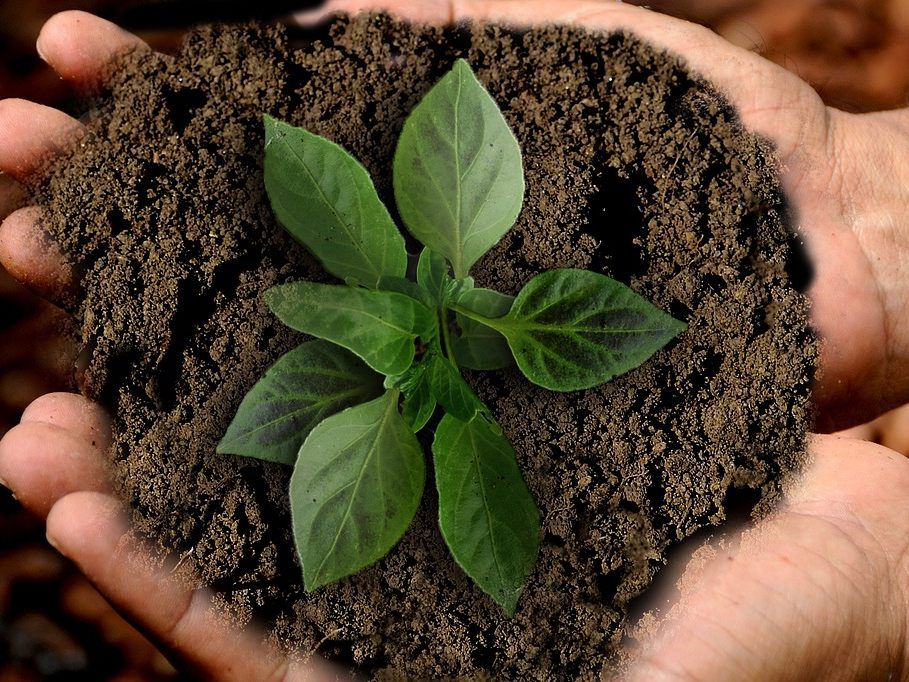 Am 4. und 5. Mai dreht sich in der Uni Wien alles um Nachhaltigkeit. Am 4. und 5. Mai dreht sich in der Uni Wien alles um Nachhaltigkeit.