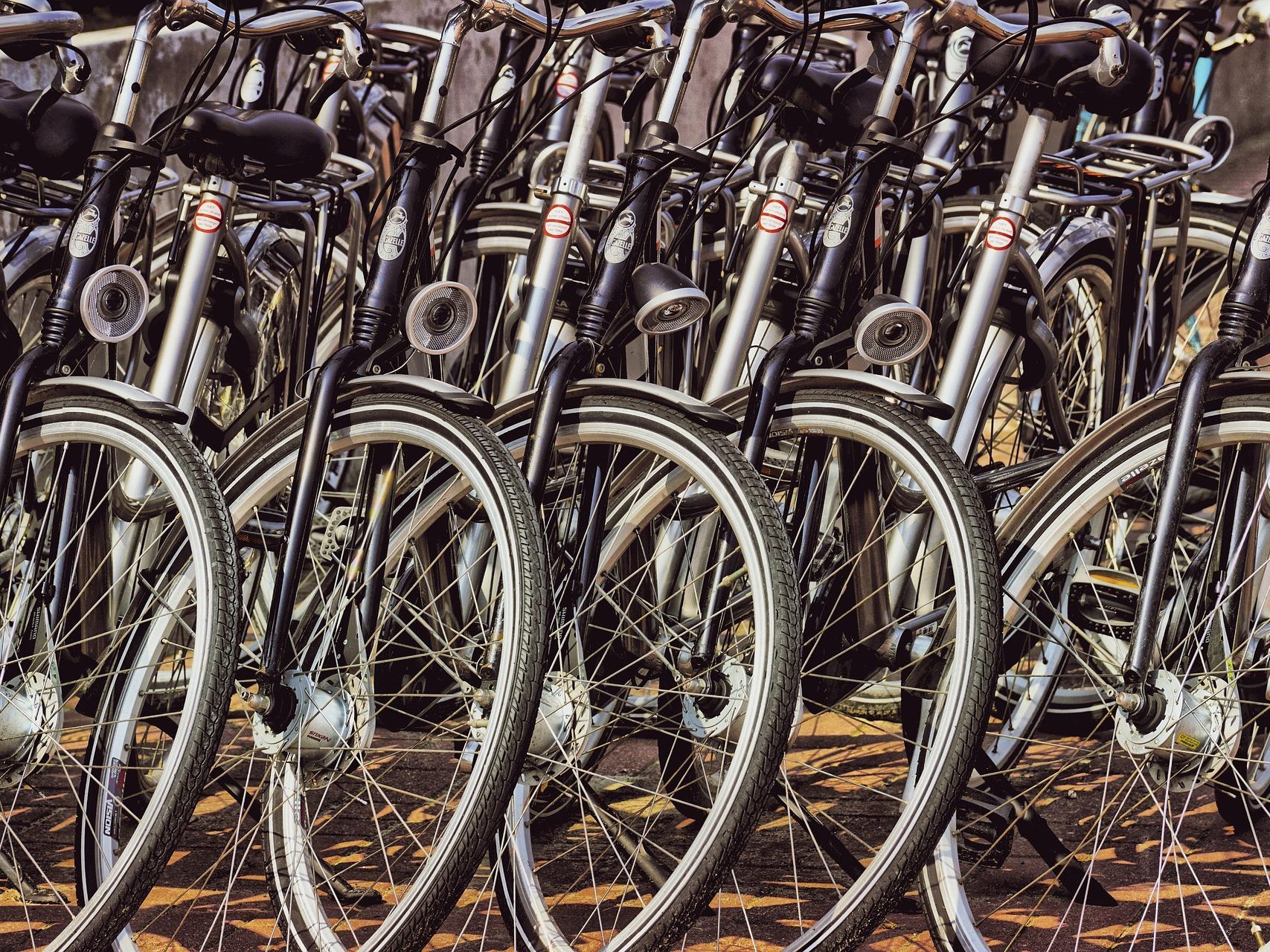 Die beiden Verächtigen sollen mehrere Fahrräder gestohlen und zum Verkauf angeboten haben. Die beiden Verächtigen sollen mehrere Fahrräder gestohlen und zum Verkauf angeboten haben.