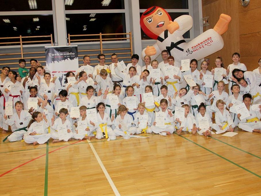 Komm zum Taekwondo!