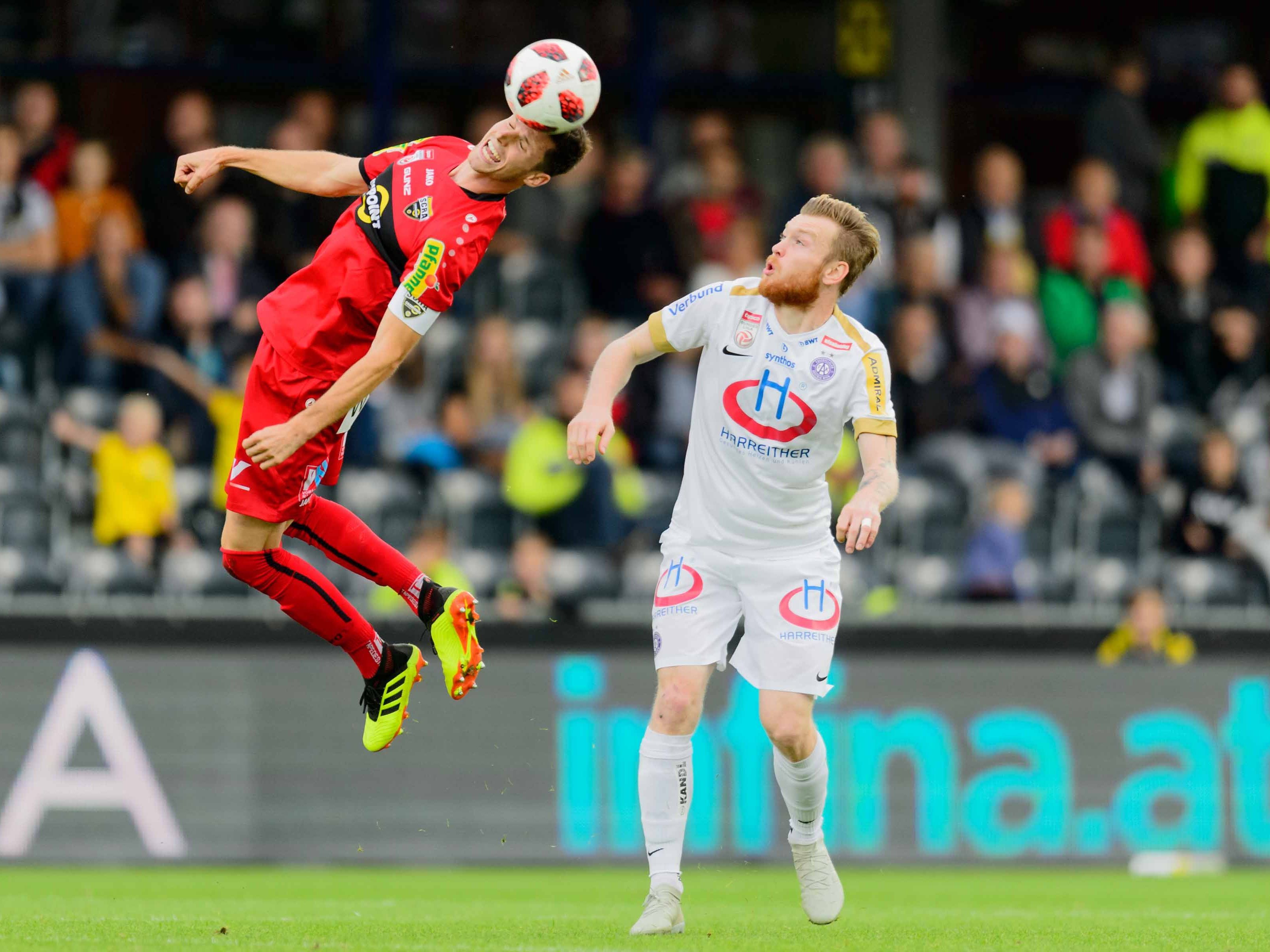 Heute LIVE Austria Wien gegen SCR Altach