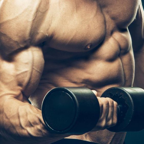 Diese Dinge sollten Sie im Fitnessstudio unterlassen.