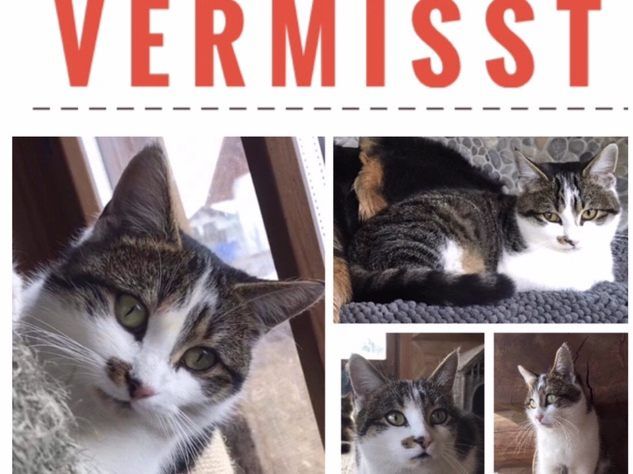 Jochen Heinz Jochen Heinz