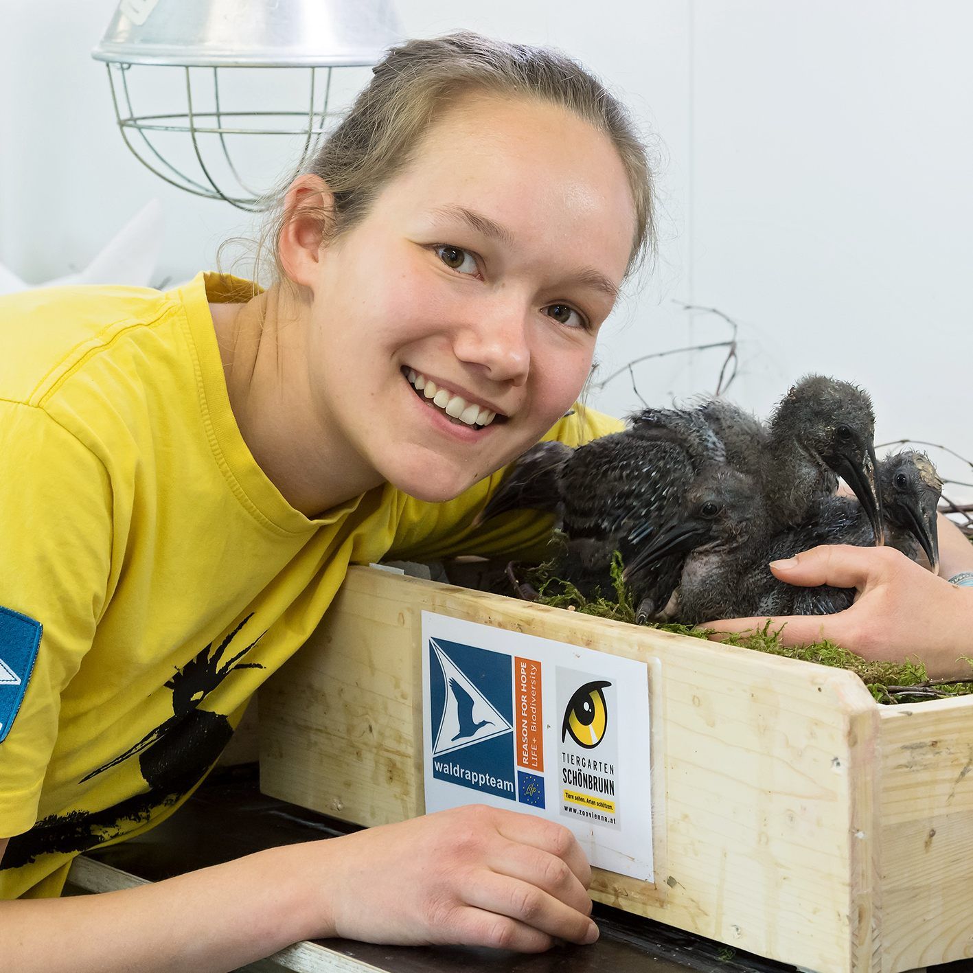 Die gefährdeten Zugvögel werden auf ihre Pflegerinnen geprägt.