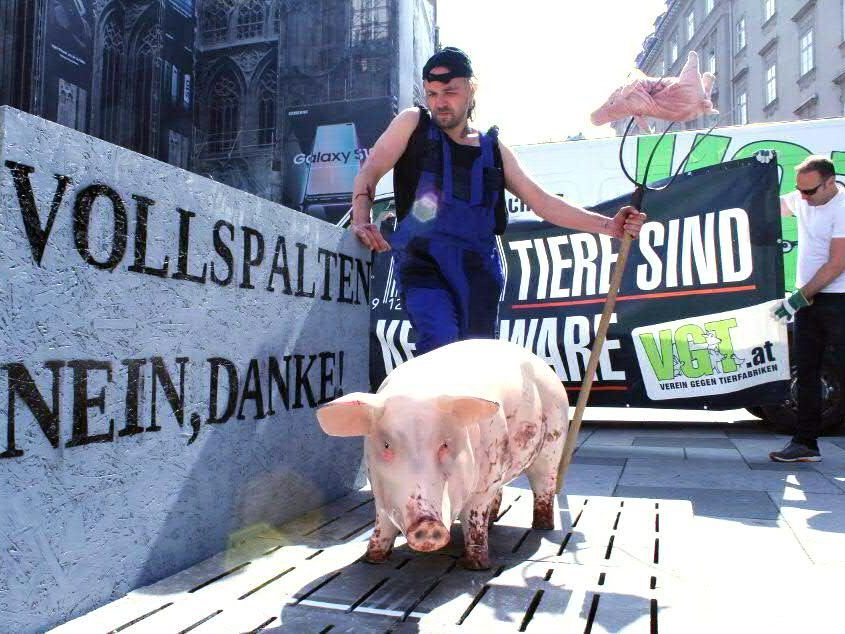 Vor dem Wiener Stephansdom wurde protestiert. Vor dem Wiener Stephansdom wurde protestiert.