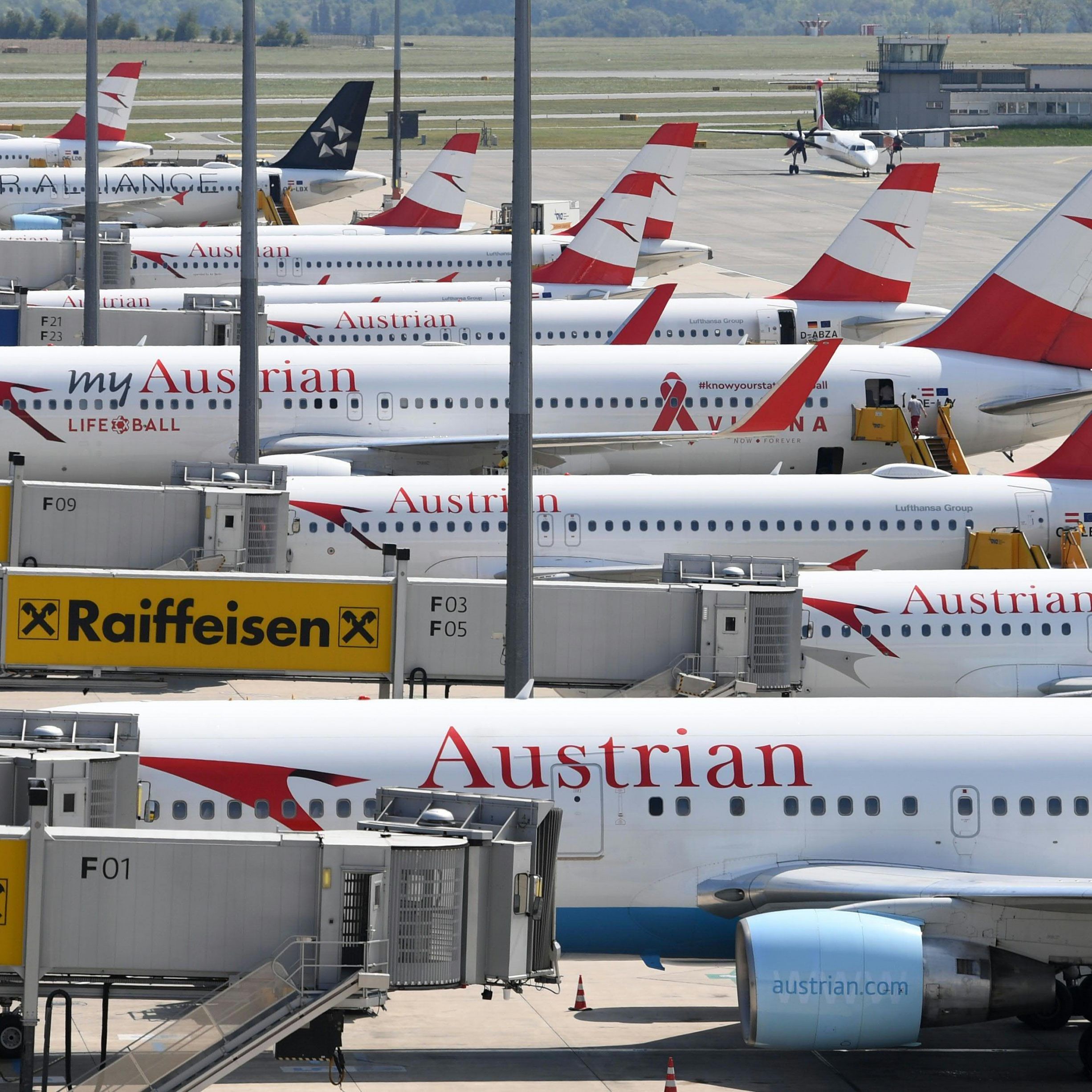 Der Flughafen Wien verzeichente im März ein sattes Passagierplus.