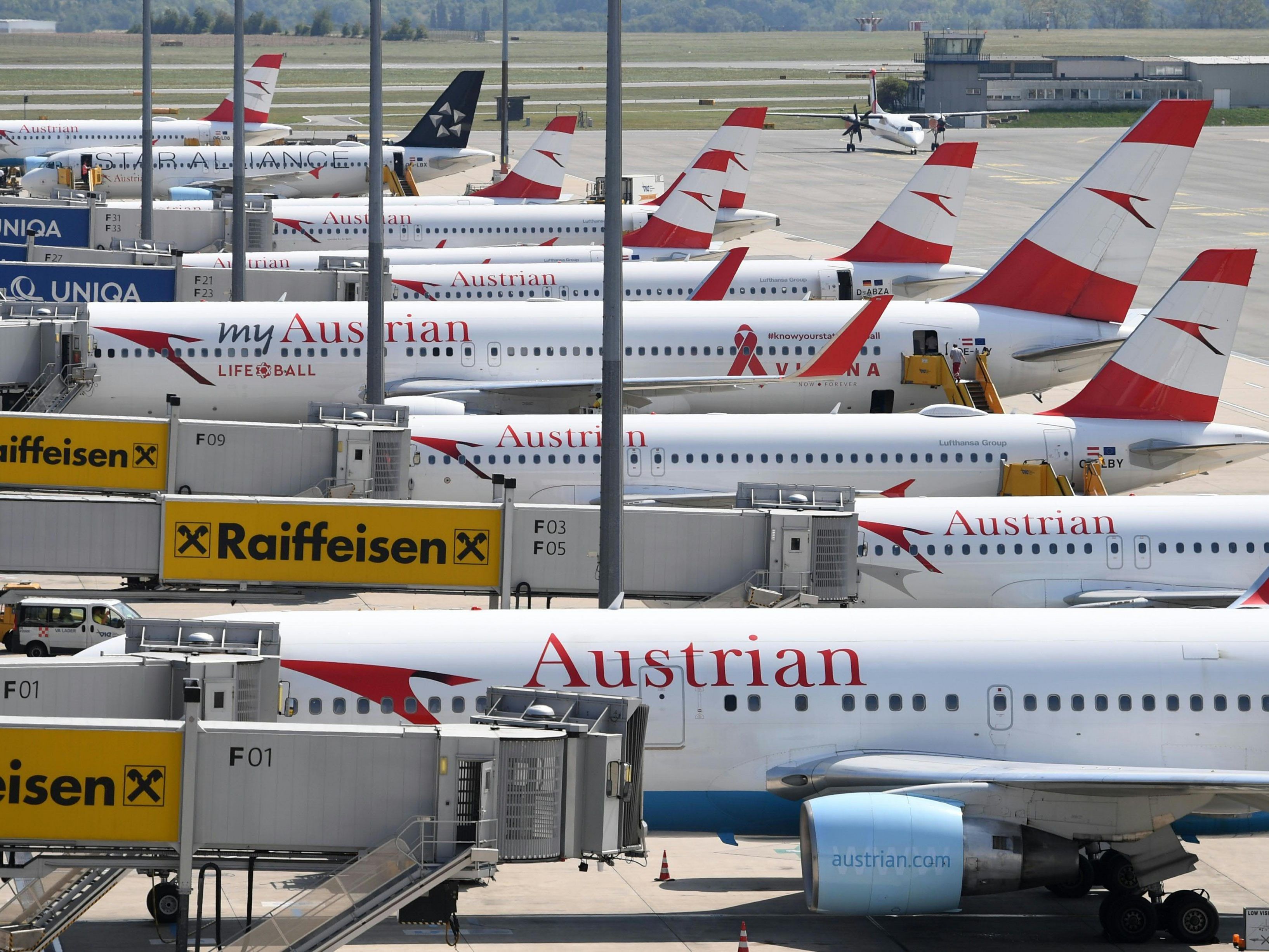 Der Flughafen Wien verzeichente im März ein sattes Passagierplus.